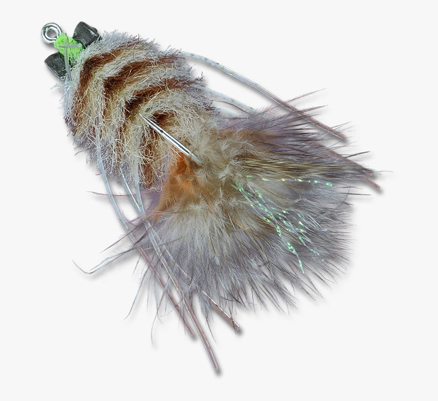 Clip Art Lophocampa Maculata - Caterpillar, HD Png Download