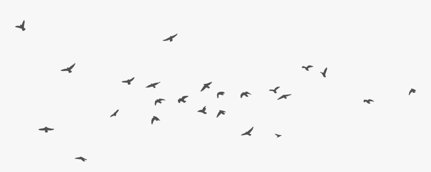 Fresh Juice Shop In Chennai - Flock, HD Png Download