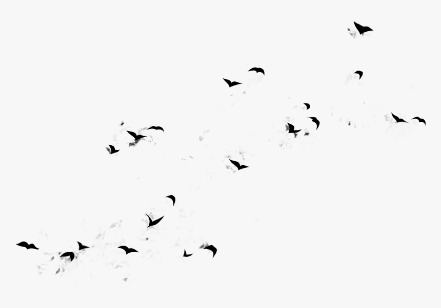 Flying Birds Design Large - Flock, HD Png Download