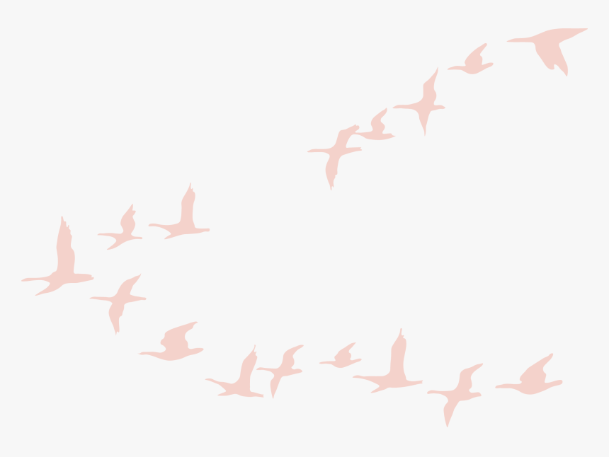 Flock Of Geese, HD Png Download