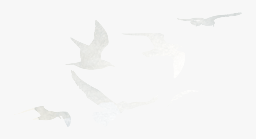 Embers Png, Transparent Png