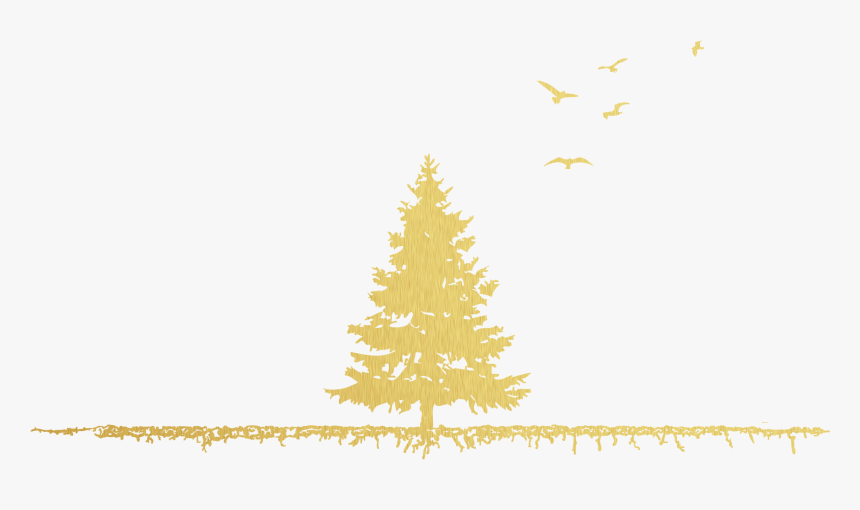 American Larch, HD Png Download
