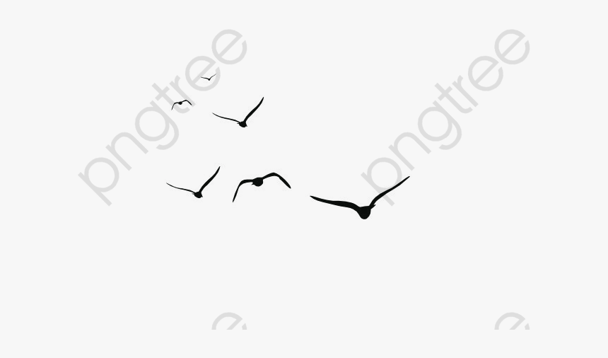 Fly Clipart Group - Stickers Mouettes, HD Png Download