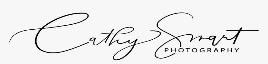 Photography Logo Png Hd, Transparent Png