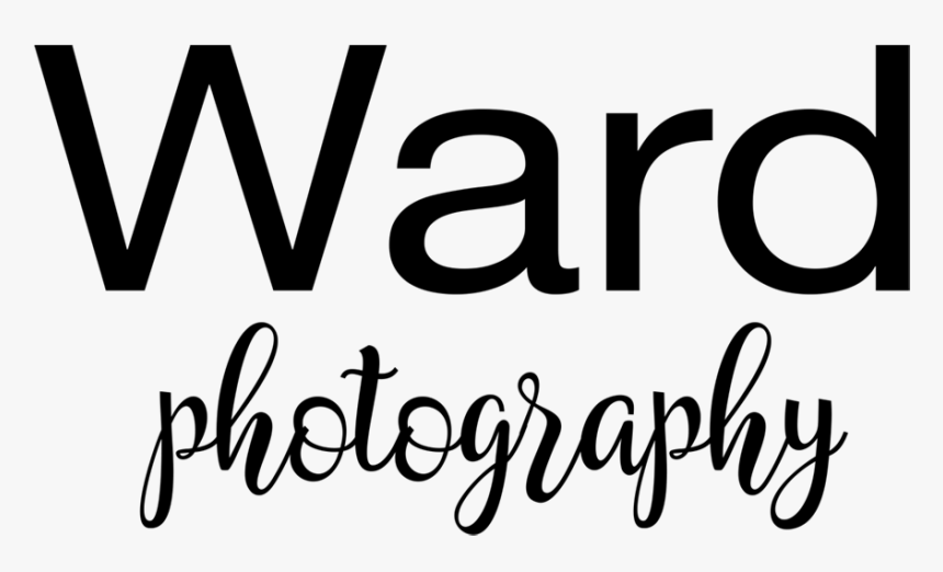 Rent This Photo Booth - Calligraphy, HD Png Download