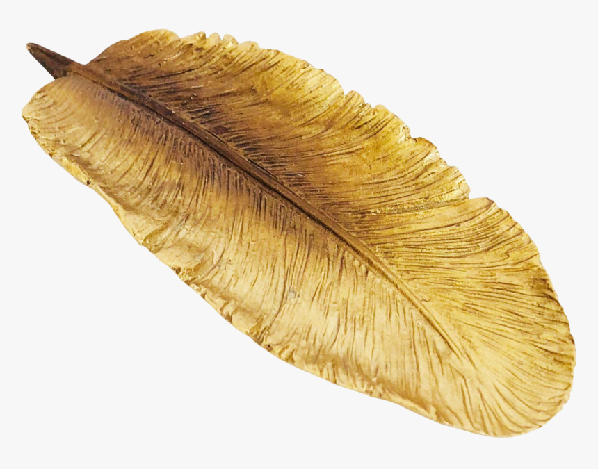Gold Feather Png - Oval, Transparent Png