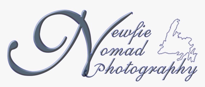 Newfoundland And Labrador Map, HD Png Download