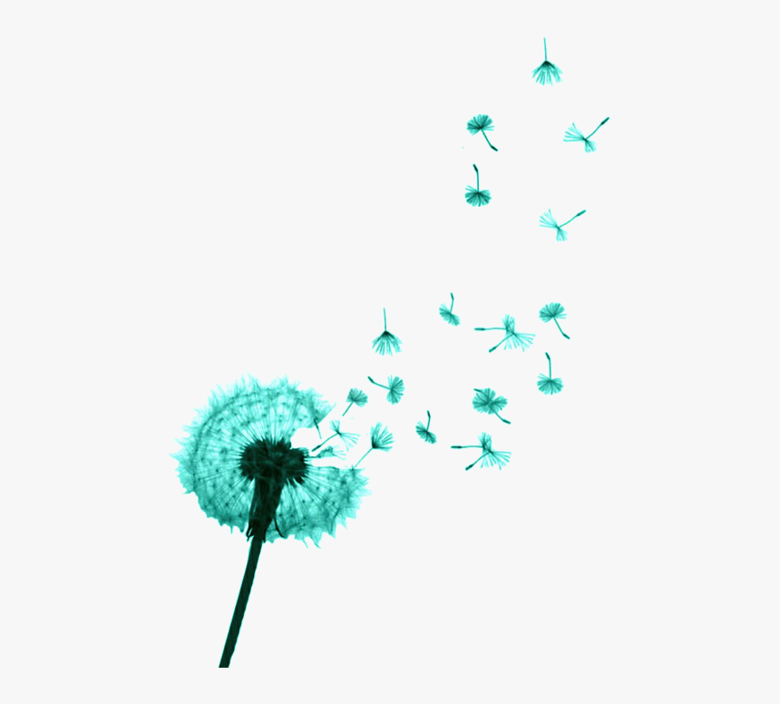 Dandelion Tattoo Designs, HD Png Download