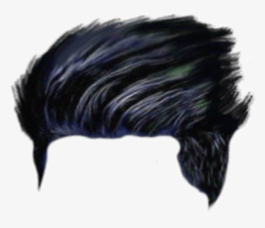 Hair Png, Hair Png Cb, Picsart Hair Png, Cb Hair Png, - Flightless Bird, Transparent Png