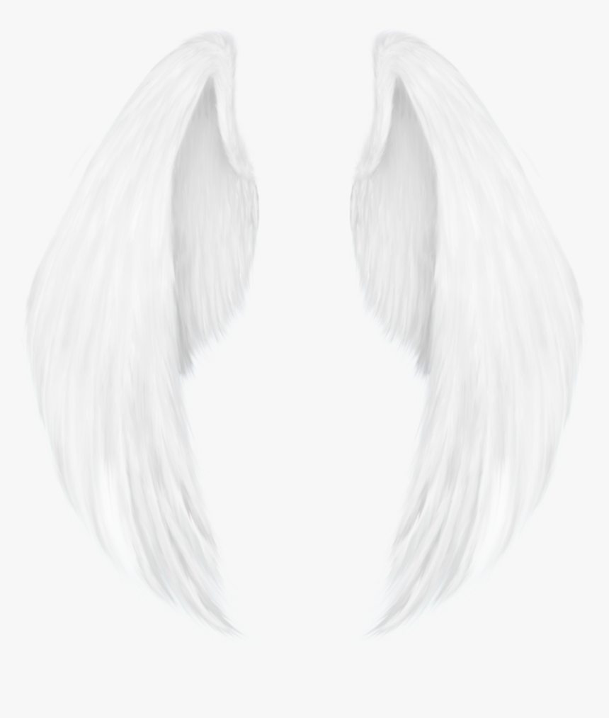 Imagenes Png De Alas, Transparent Png