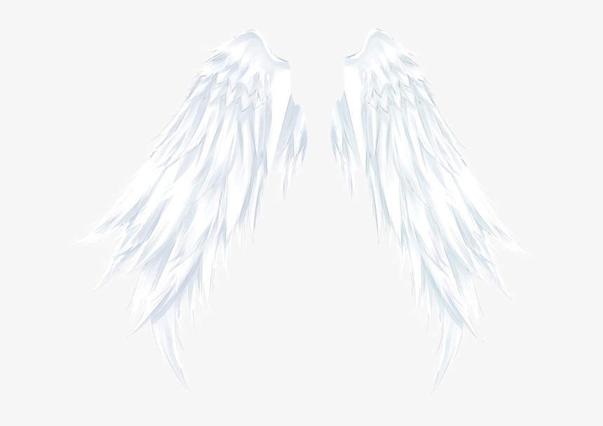 #wings #angelwings #angel #ftestickers - Angel, HD Png Download