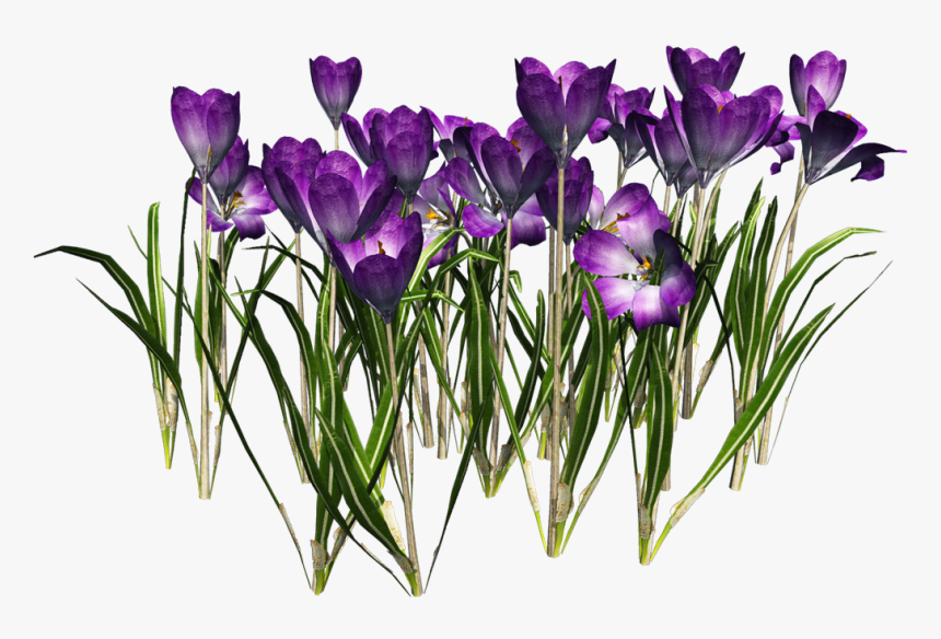 Tubes Barrinhas, HD Png Download