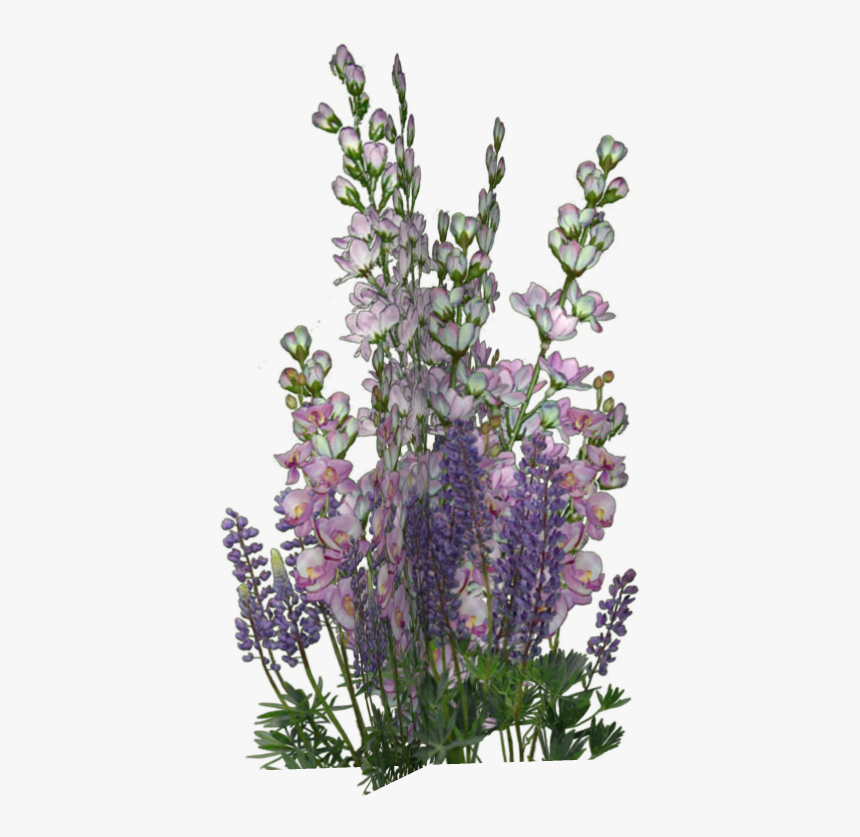 Fleurs Flores Flowers Bloemen - Flower, HD Png Download