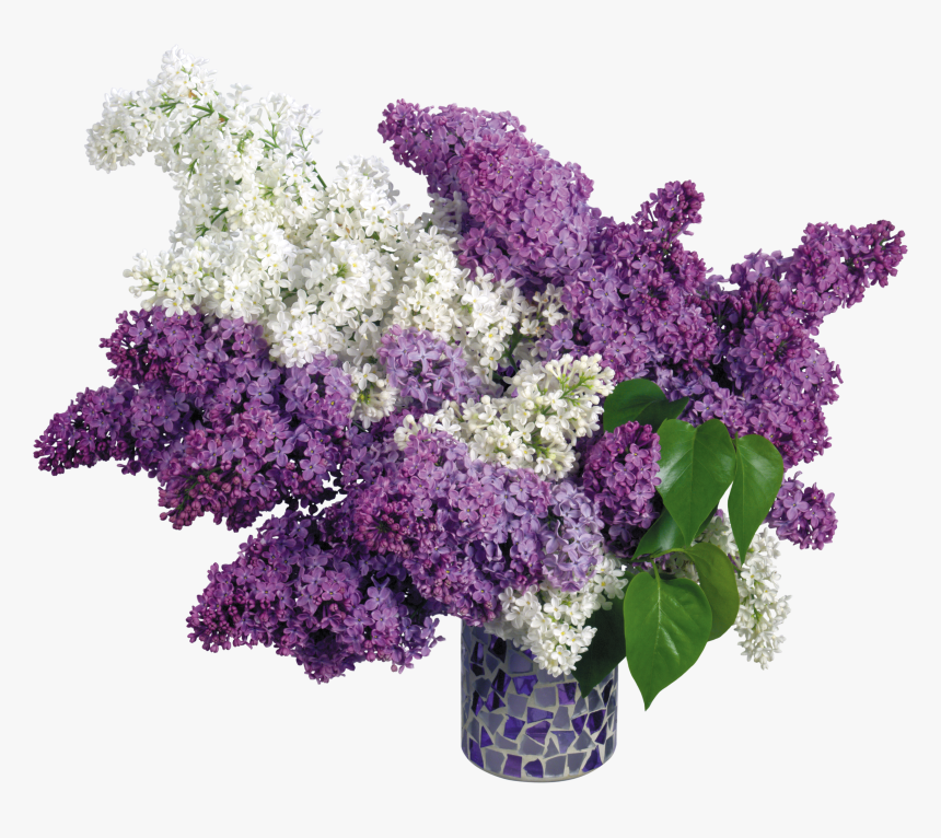 Lilac Png - Открытки С Наступающим 1 Мая, Transparent Png