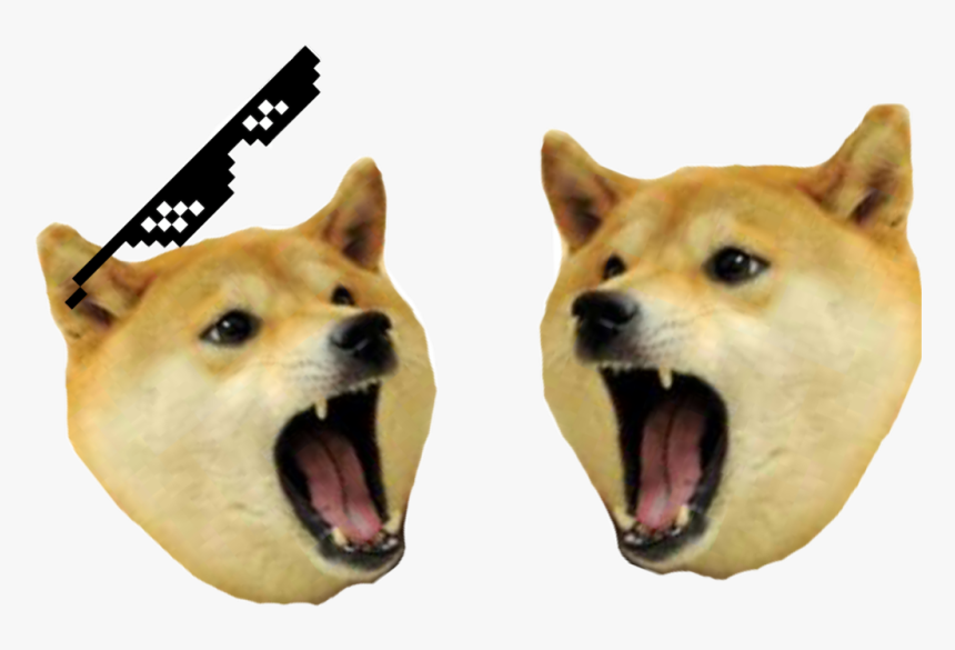 Dog Yawns, HD Png Download