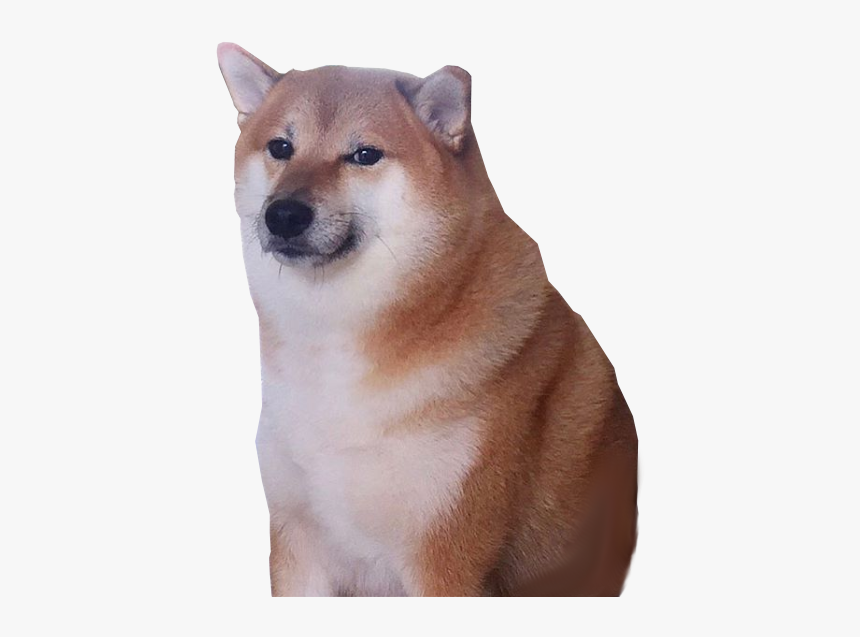 Funny I Am Going To Laugh Now, HD Png Download