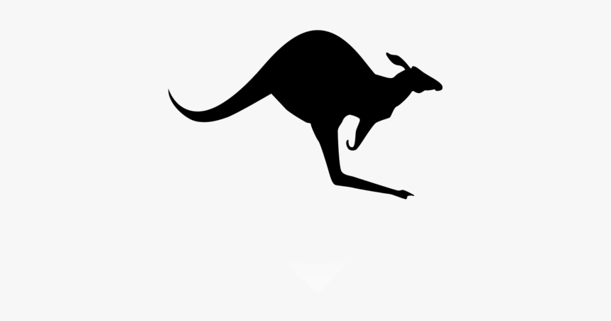Silhouette Clip Art Free - Black Kangaroo Clipart, HD Png Download