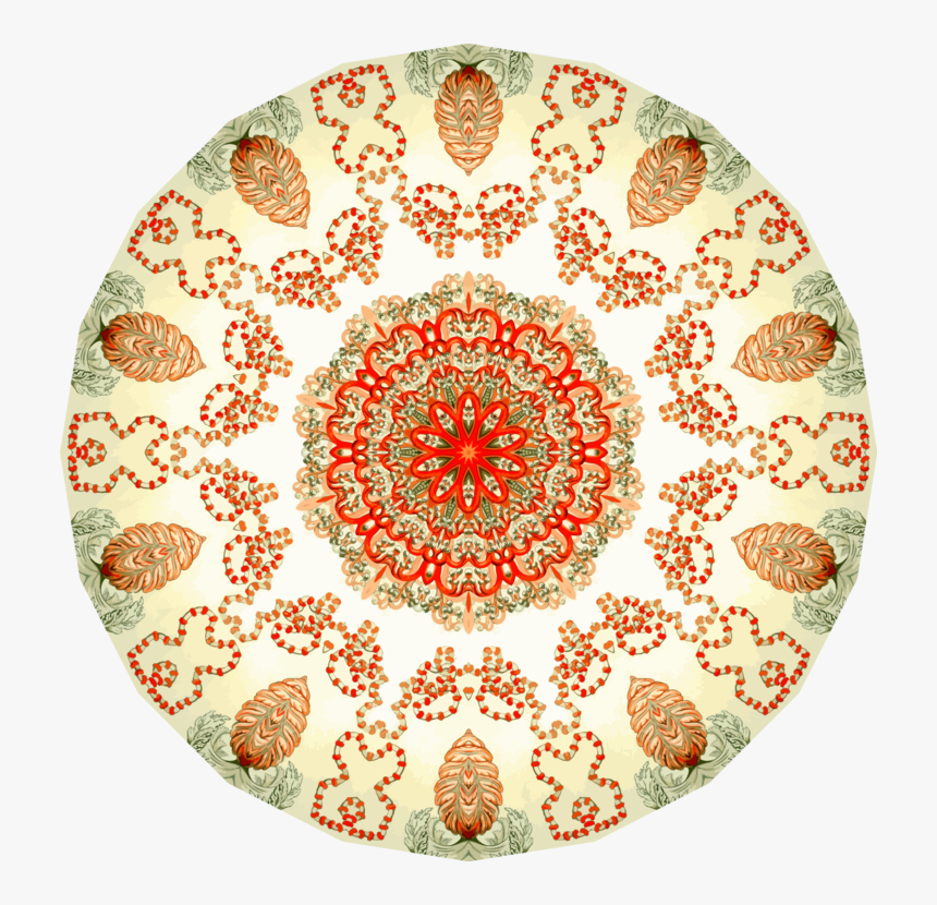 Orange,circle,symmetry - Circle, HD Png Download