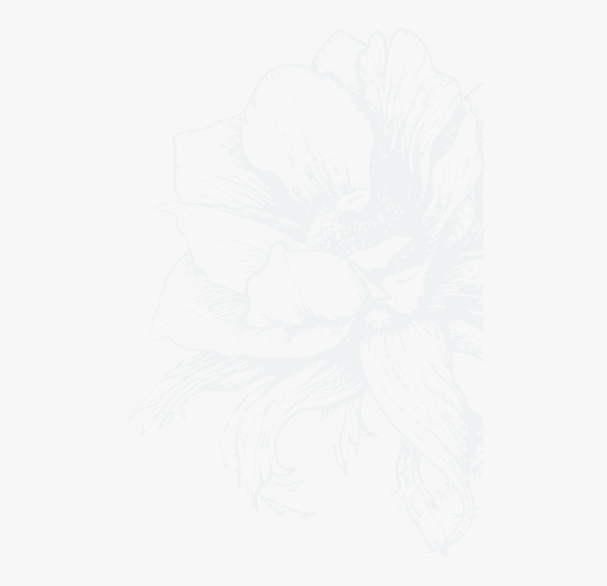 Sketch, HD Png Download