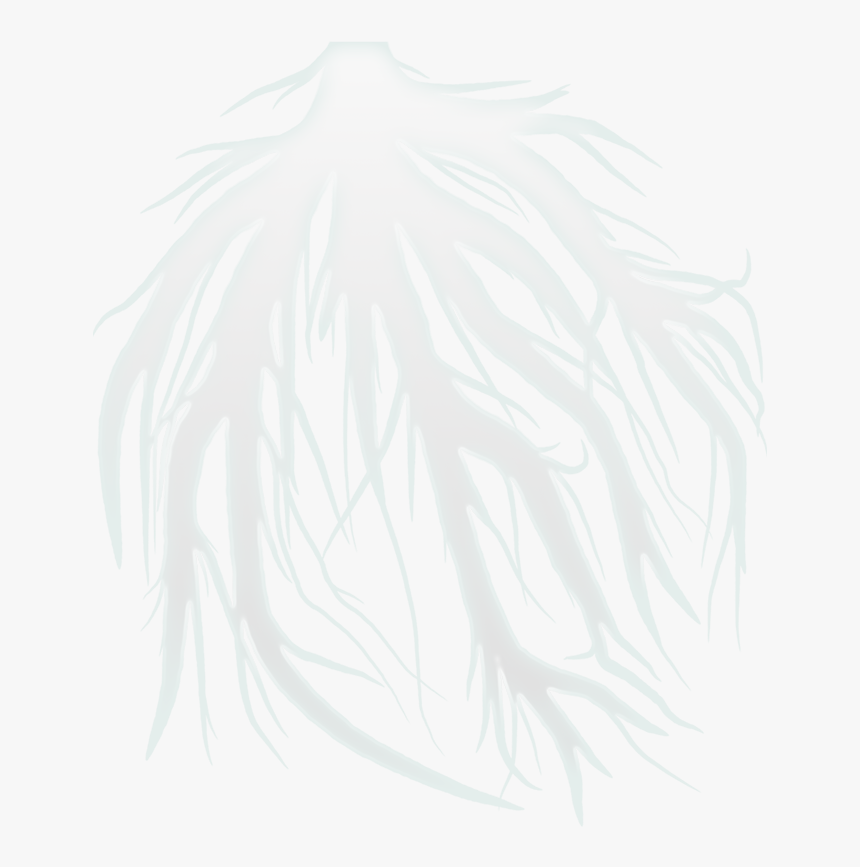 Sketch, HD Png Download
