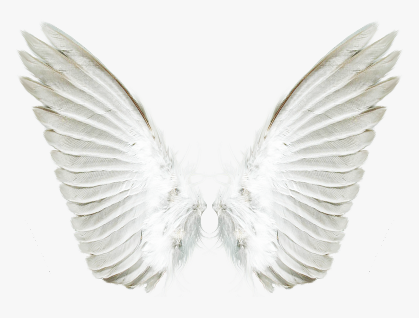 Portable Network Graphics Clip Art Image Computer File - Transparent Background Angel Wings Png, Png Download