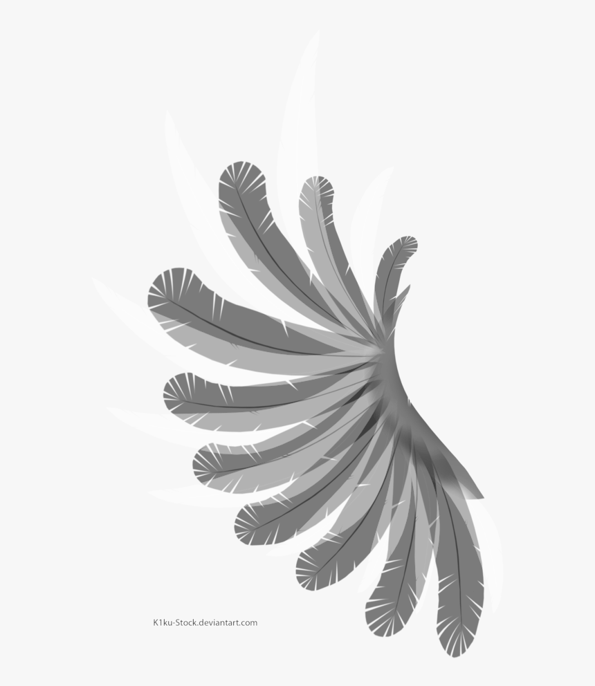 Wing Black And White Feather Bird - Wing With Transparent Background, HD Png Download