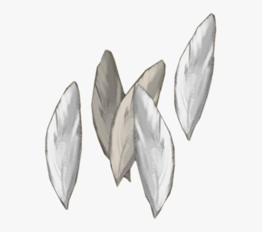 Transparent Feathers Silver - Magnolia, HD Png Download