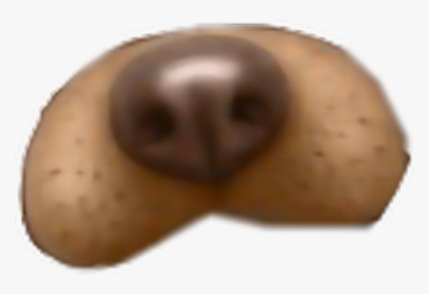 #dog #filter #snapchat #dogfilter #freetoedit - Sapodilla, HD Png Download