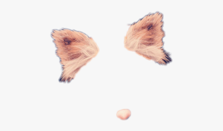 #wolf #dog #filter #snapchat #socialmedia #stickers - Transparent Background Transparent Snapchat Filters, HD Png Download