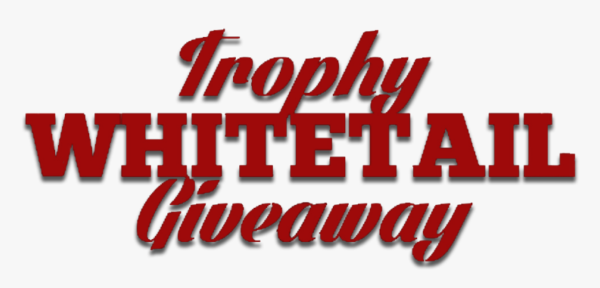 Graphics, HD Png Download