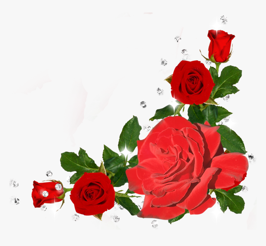 Blessing Friday Quotation God Prayer - Beautiful Friday Blessings Gif, HD Png Download