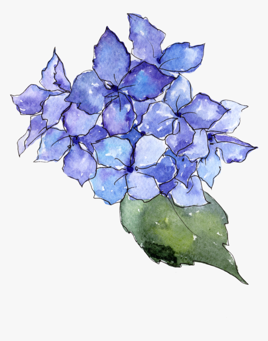 Hortênsia Tatuagem Flor, HD Png Download