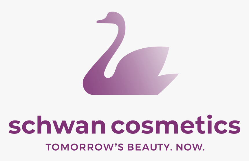 Vintage Overlay Png, Transparent Png