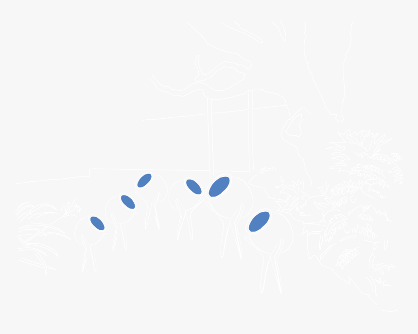Illustration Of Pukul Lima © 2019, Bruce Munro Ltd - Footprint, HD Png Download