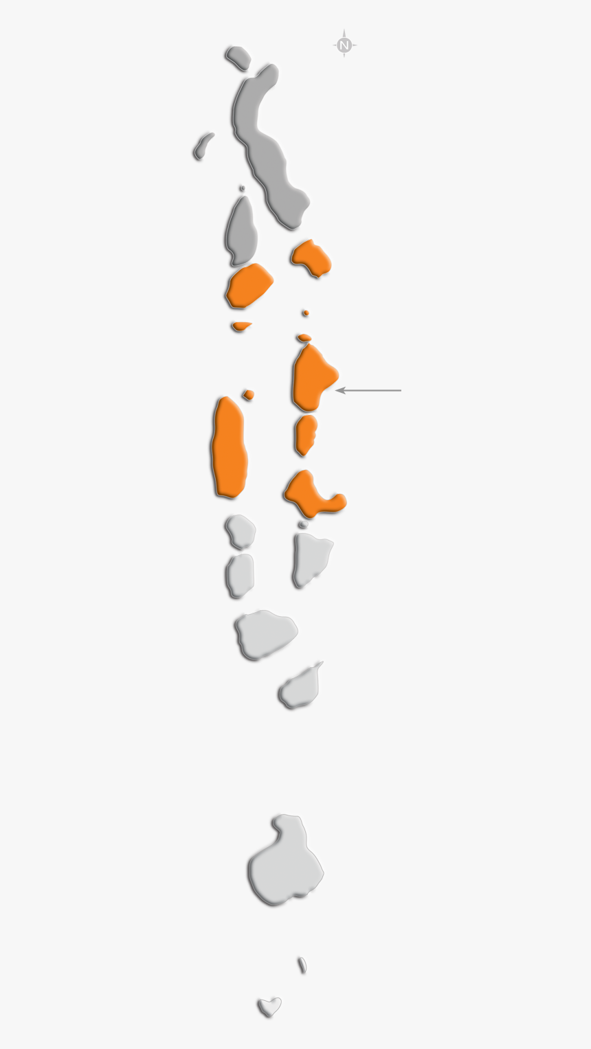 Illustration Design By Sajal Samaddar For Dsi - Illustration, HD Png Download