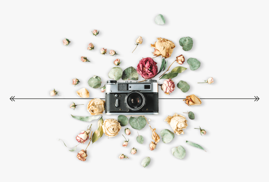Camera Graphic For Our Wedding Photography Page - Product Shoot Lightroom Preset, HD Png Download