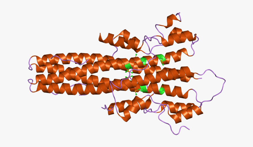 Pdb 2v0x Ebi - Illustration, HD Png Download