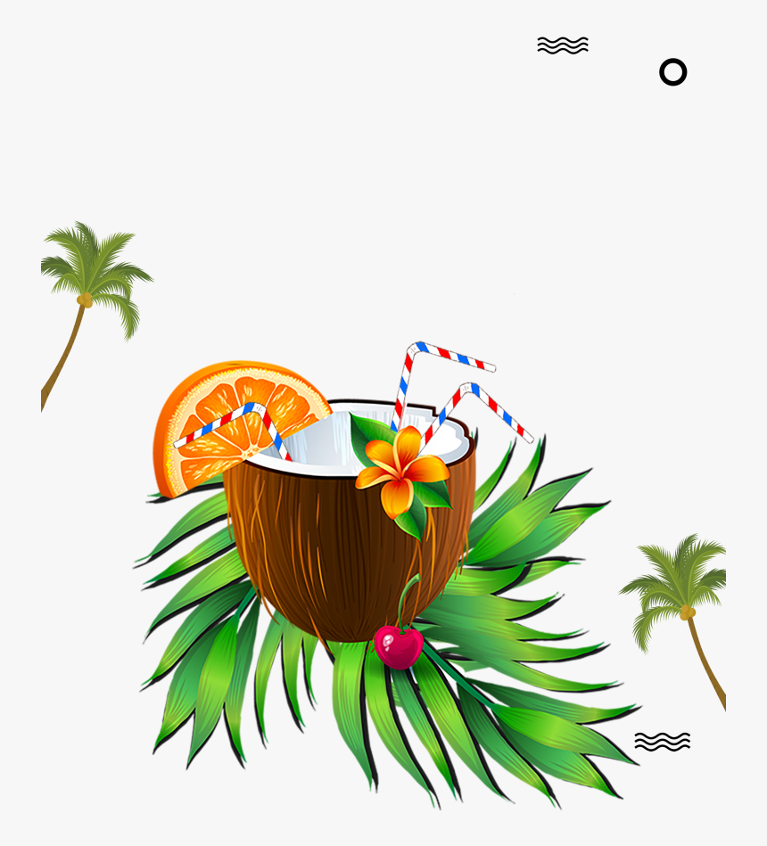 โปสเตอร์ ของ มะพร้าว, HD Png Download