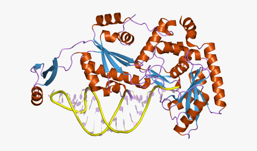 Pdb 2zhb Ebi - Illustration, HD Png Download