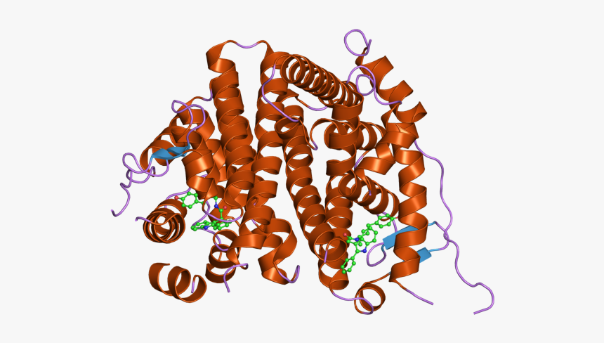 Pdb 2iok Ebi - Illustration, HD Png Download