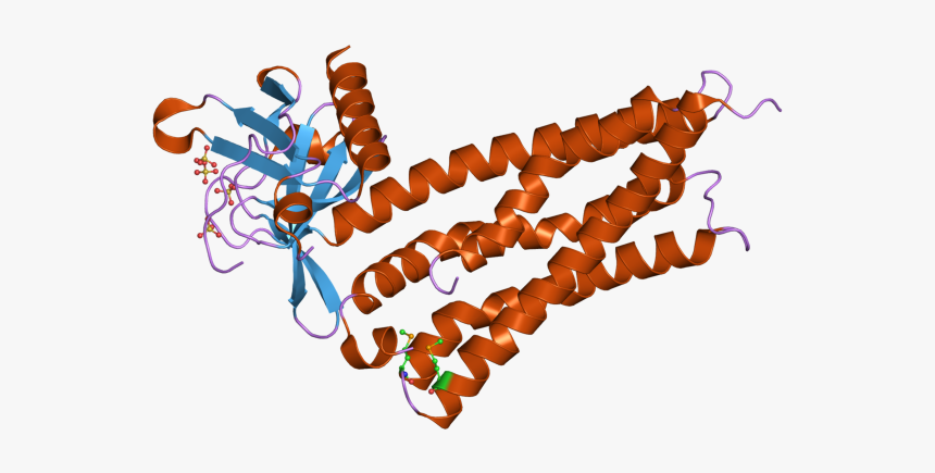 Pdb 2z0q Ebi - Graphic Design, HD Png Download