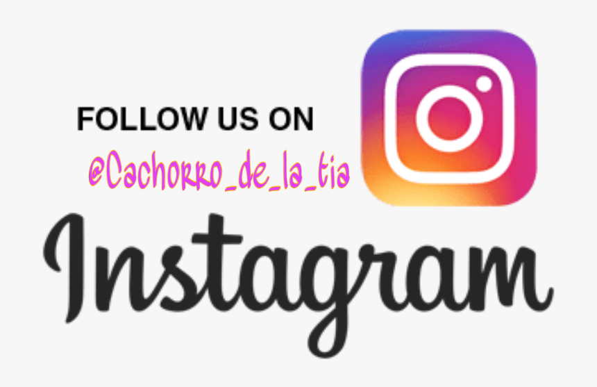 #cachorro #tijuana #freetoedit - Join Our Instagram, HD Png Download