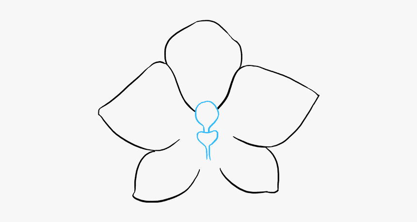 Drawing Transparent Orchid, HD Png Download