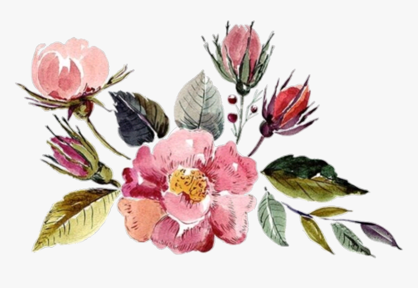 #flower #watercolor #watercolorflower #flowers #aesthetic - Aesthetic Watercolor Flowers, HD Png Download
