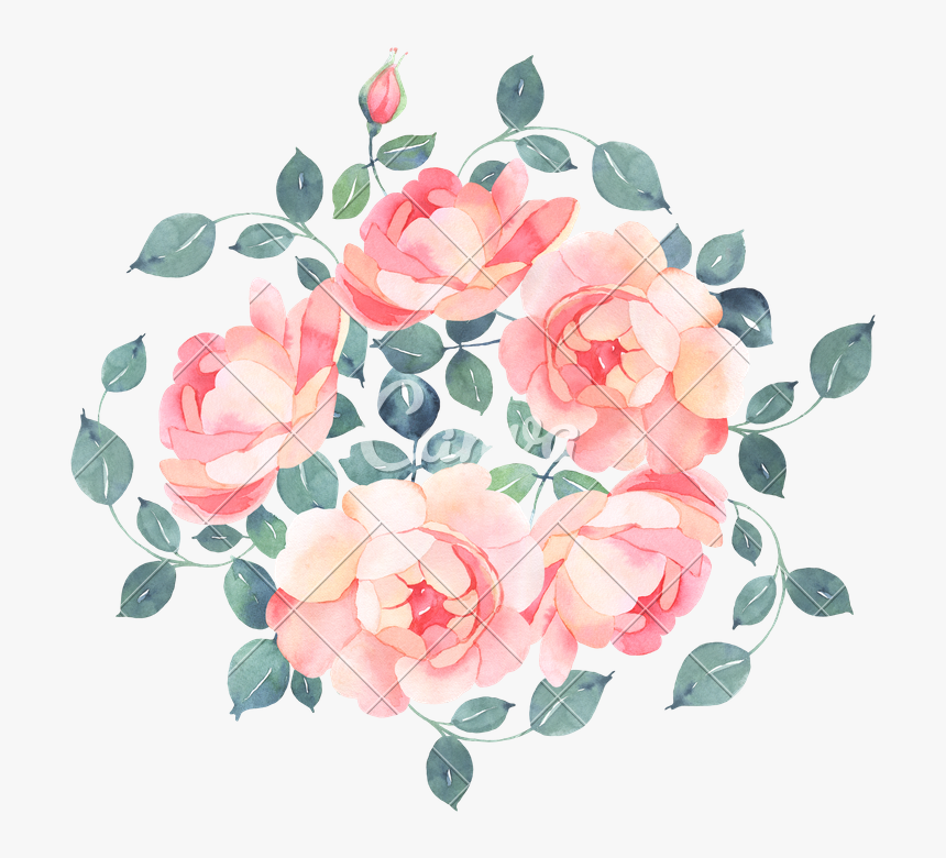 Romantic Roses Watercolour B, HD Png Download
