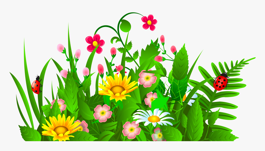 Community Events Calendar - Garden Flowers Clipart, HD Png Download