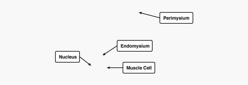 Diagram, HD Png Download