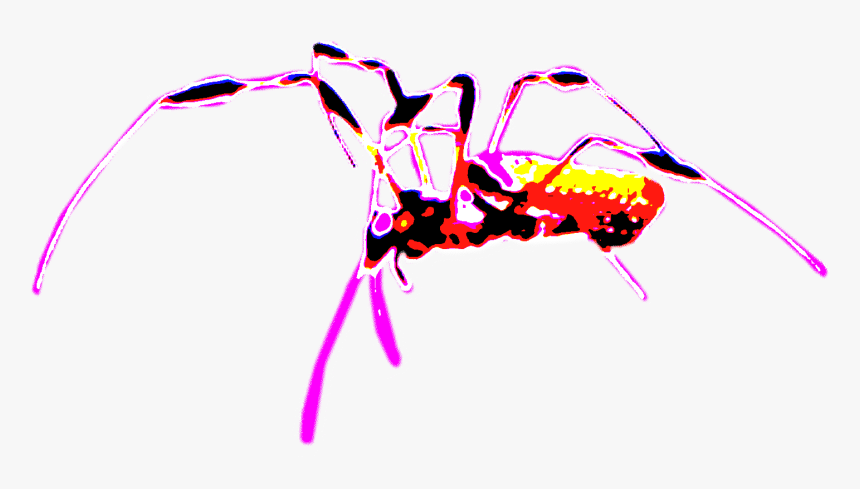 Illustration, HD Png Download