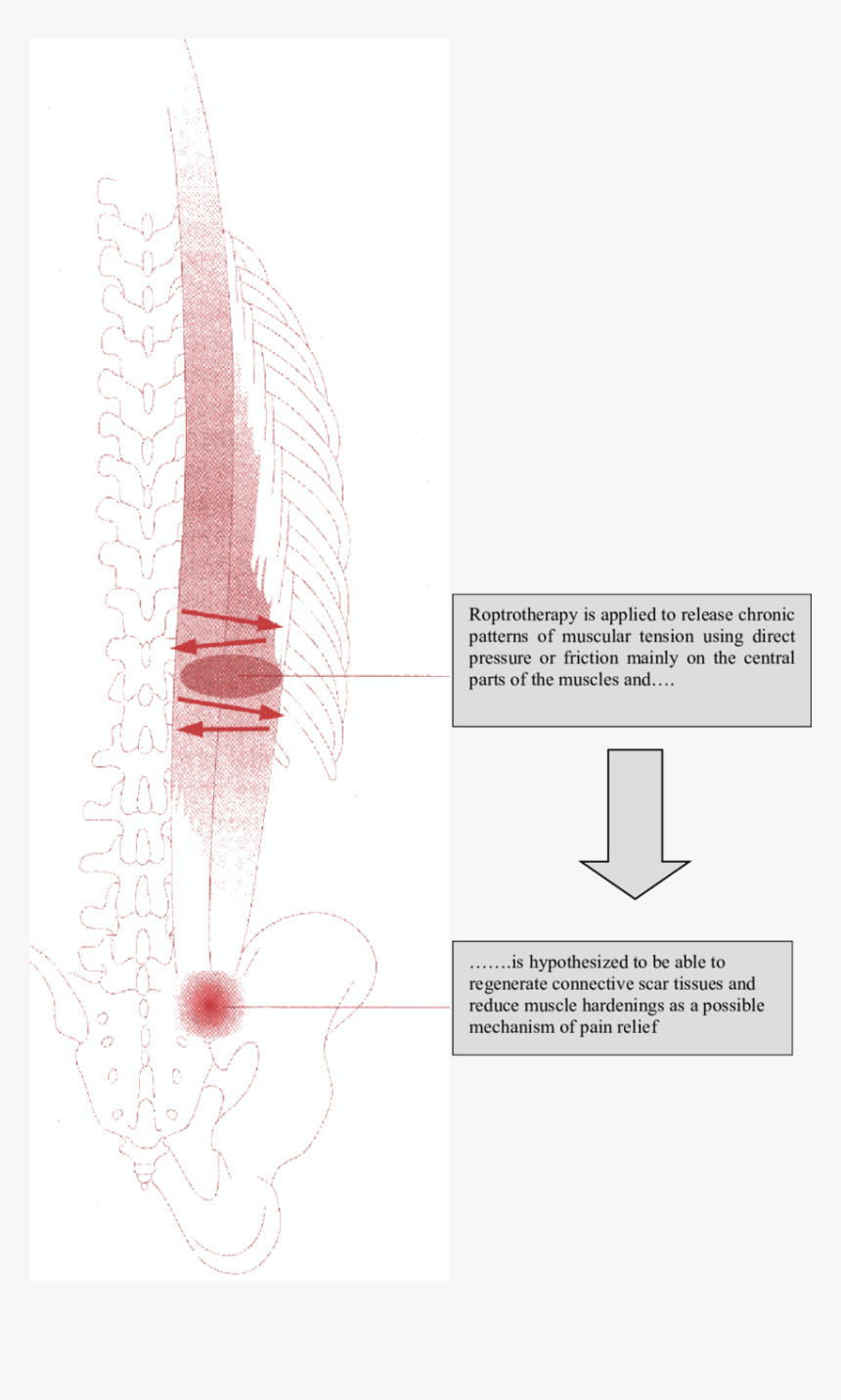 Diagram, HD Png Download