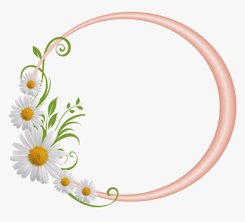 Cream Round Frame With Daisies - Flower Round Frames Png, Transparent Png